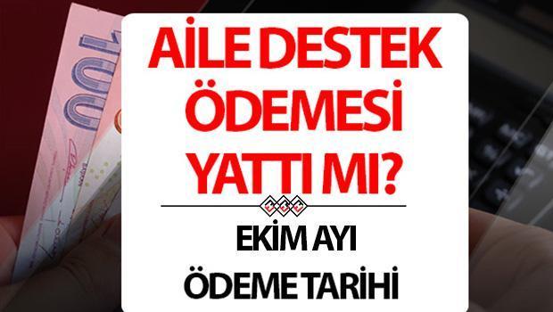 AİLE DESTEK ÖDEMESİ EKİM 2024 NE ZAMAN ÖDENECEK | Aile desteği için sosyal yardım ne kadar? Kaç TL? Aile Destek Programı e-devlet başvuru ekranı ve başvuru koşulları!