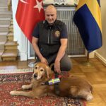 Yüzyılın felaketinde 18 kişiyi kurtaran köpek kahramanı öldü
