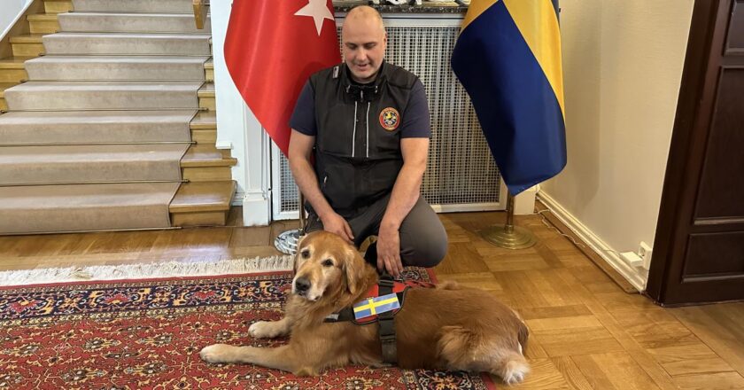 Yüzyılın felaketinde 18 kişiyi kurtaran köpek kahramanı öldü