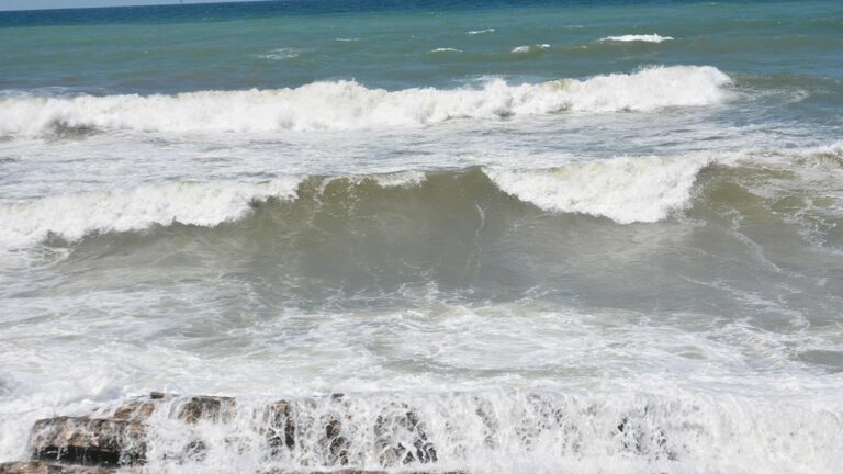 Sakarya'da yüzenler için uyarı tasarlanacak: Kırmızı Bayrağın 5 Günlüğü
