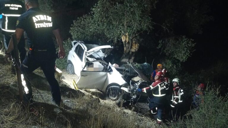 Yapıştırılmış köpeğe vurmaktan kaçınmak için hareket eden araba: 2 ölü