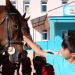 Okul Kulüplerinde At Takımlarının Güvenliğinin Denetimi