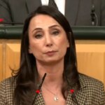 DEM'den hükümete: 'Yargıyı siyasallaştıran sizlersiniz' – Son Dakika Siyaset Haberleri